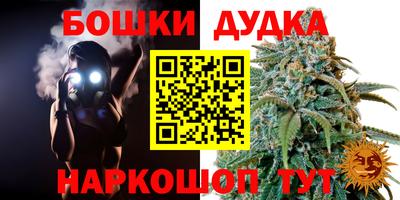 a pvp Аргун