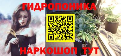 a pvp Аргун