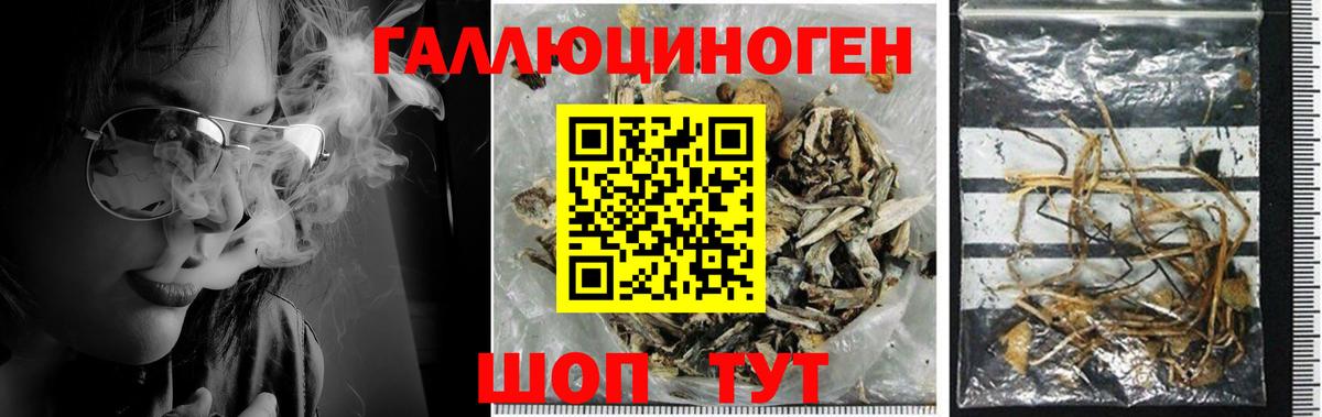 Галлюциногенные грибы Magic Shrooms  Вход с VPN  Богородск 